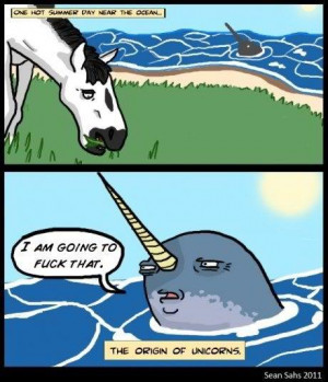 love meme animal sea unicorn horse haaha
