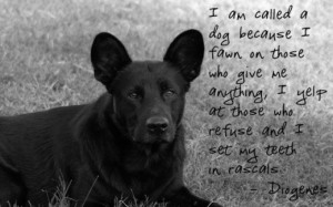 Dog Quotes - Wonderful Sayings About Man's Best Friend