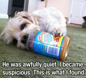 dog eating peanut butter, funny pictures