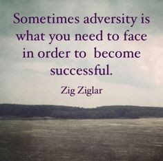Adversity quote zig ziglar James Malinchak Big Money Speaker Quote Box ...