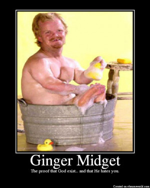 BLOG - Short Funny Ginger Jokes