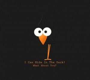 bird text funny wallpapers as