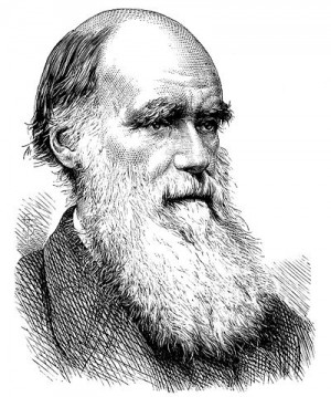 Quote: Charles Darwin