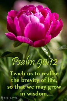 ... us to realize the brevity of life let god be true hallelujah psalms