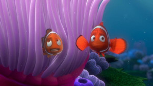 Finding-Nemo-finding-nemo-3561565-853-480.jpg