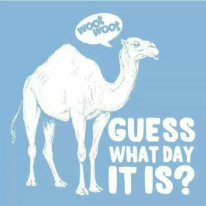 Its hump day!!!!