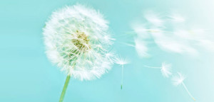 Upload a Photo | View All