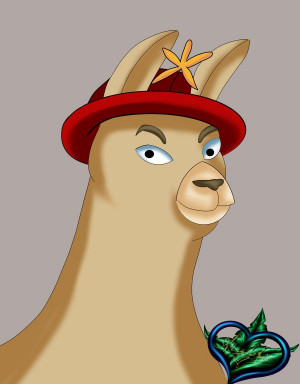 Llamas With Hats Paul Auralife