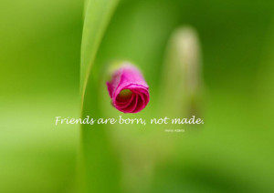 BEAUTIFUL FRIENDSHIP QUOTES IN OUR LIFE