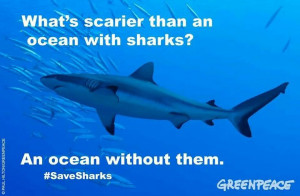 ... quotes saving sharks animal quotes saveshark scarier ocean greenpeace