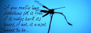 Miscellanea & Others : dragonfly and love quote