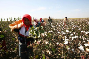 China is the largest cotton suuplier in the world. But its cotton ...