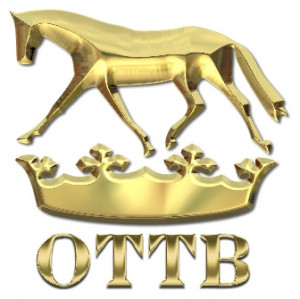 OTTB Designs offers a variety of items for your OTTB: saddle pads ...