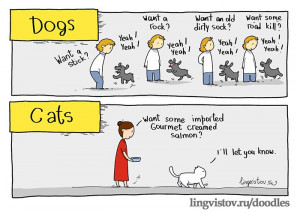 The differences between cats and dogs
