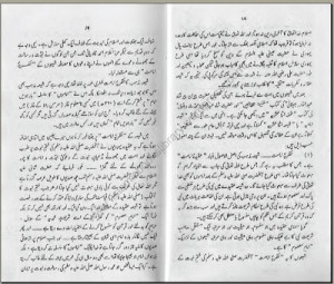 LOW INTENSITY CONFLICT