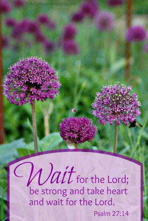 Wait for the Lord :: Photo Scripture Quote from Psalm 27:14 :: Joy Day ...