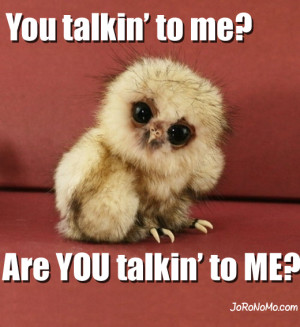 Flashcard Set Preview