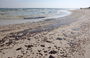BP Wins Dismissal of Part of Investor Lawsuit Over Gulf Oil Spill