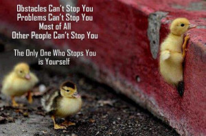 Obstacles Can't Stop You