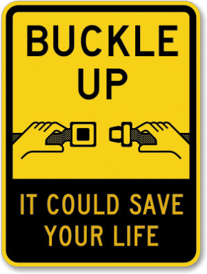 Seat Belt Sign picture