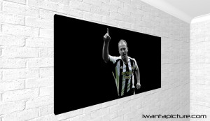 Vicini Black And White High