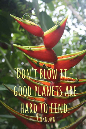 eco friendly quote