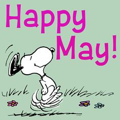 Happy May! More