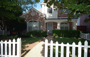 Spanish moss grows hanging from tree branches getting its food from