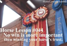 , Horse'S Trust, Horses 3, Hors Lessons #, Hors Crazy, Horses Quotes ...