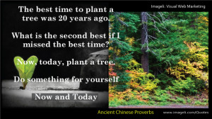 The Best Time To Plant A Tree Was 20 Years Ago. What Is The Second ...
