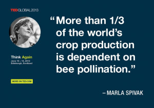 Marla Spivak quoted at TEDGlobal 2013 / Photo: James Duncan Davidson