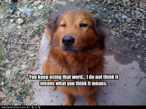 Dog Quotes Funny Dog Quotes and Sayings