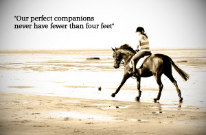 and beaches quotes famous quotes www helphorseshelpkid com hors quotes ...