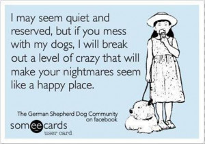 beware of dogs, funny quotes