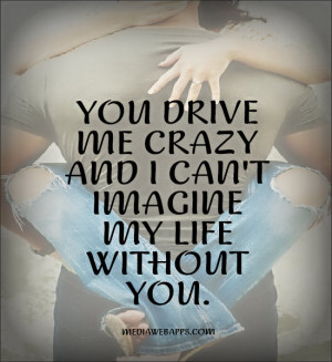 you drive me crazy, and I can't imagine my life without you.