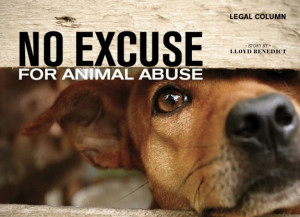 Abuse Animal Cruelty