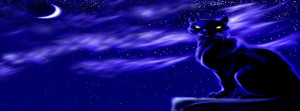 Pagan cat by moon Facebook Cover