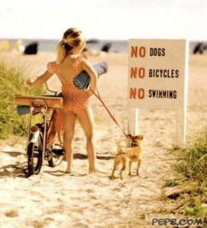 vorherige Karte nächste Karte