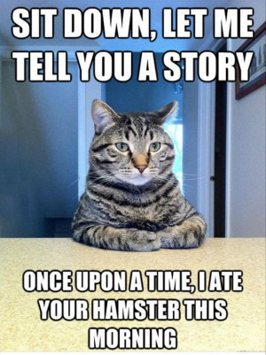 cat sitting at the table, funny cat quotes
