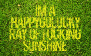 click one of the image icons under the facebook status that you like ...