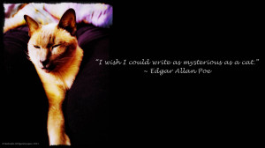 Edgar Allan Poe Quotes 11, A picture with an Edgar Allan Poe quote ...