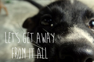 Reisquote Let’s get away from it all