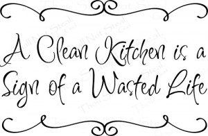 Clean Kitchen is a Sign of a Wasted Life
