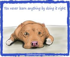 ... life, do it the wrong way ;) #pitbull #quote #funny #dog #mistake More