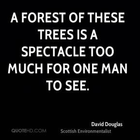 David Douglas - A forest of these trees is a spectacle too much for ...