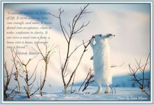 Gratitude ~ a quote from Melody Beattie #quotes #Melody_Beattie