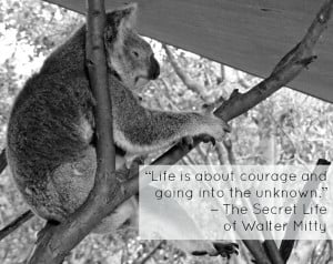 The Most Inspiring Movie Travel Quotes on Cute Photos of Sleepy Koalas