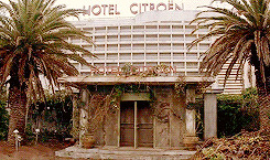 bill murray the life aquatic with steve zissou *laq