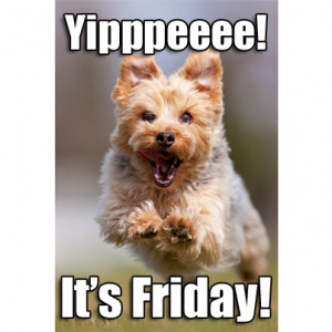 Yipppeeee! It's Friday! Woman Workout, Circuit Training, Workout ...