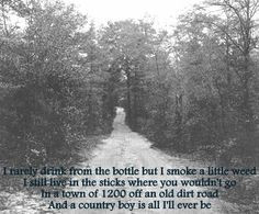 Aaron Lewis - Country Boy